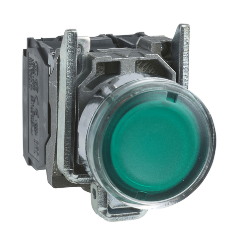 Pulsador Cuerpo Metálico Luminoso Rasante con LED (Incluido), 120 VAC, Verde, NA+NC